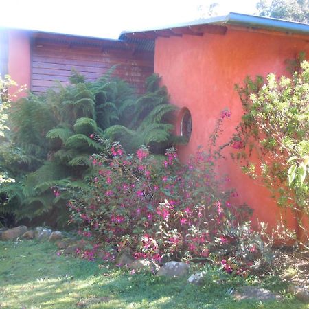 Whispering Spirit Holiday Cottages & Mini Ponies Franklin Εξωτερικό φωτογραφία