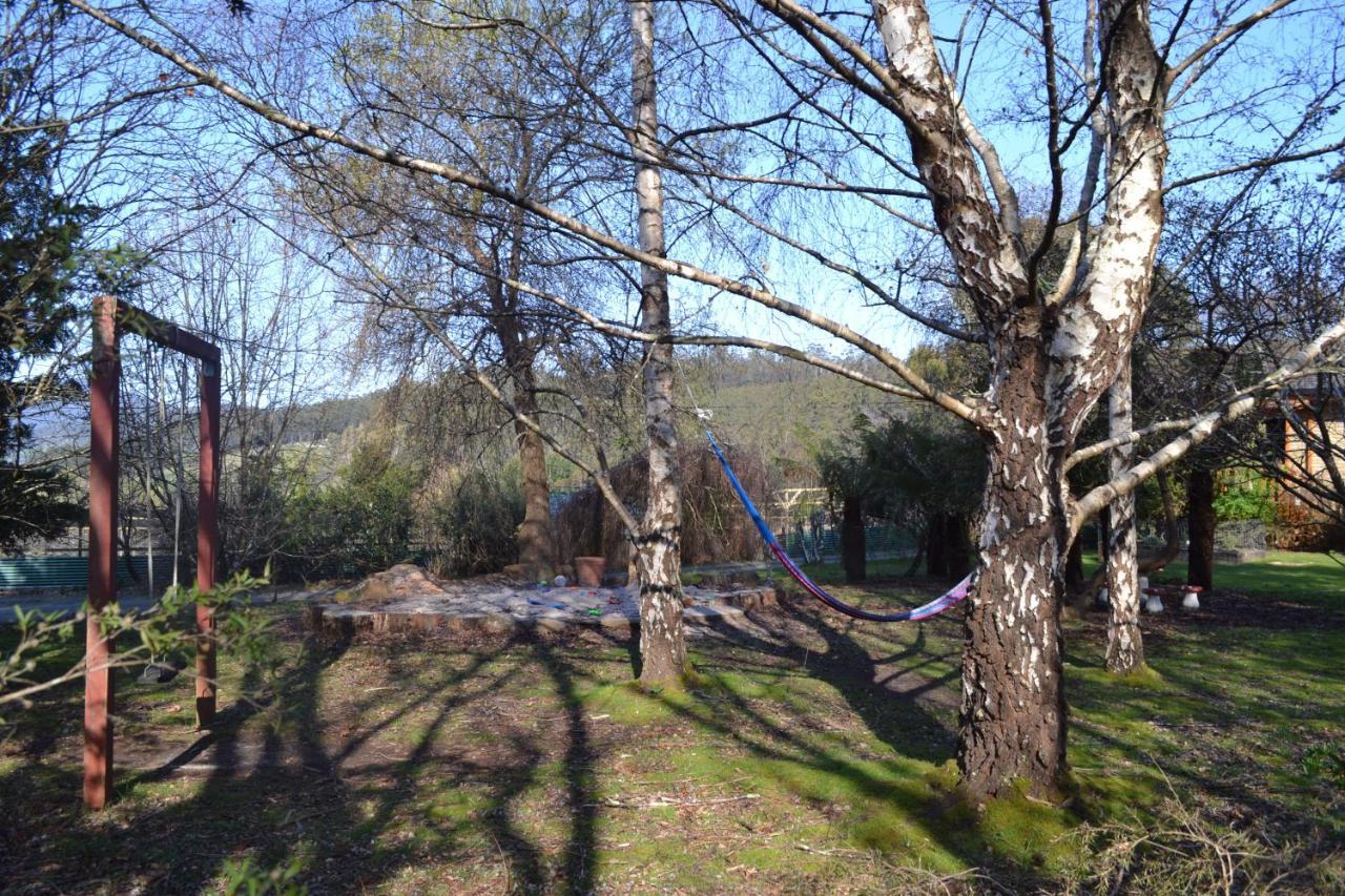 Whispering Spirit Holiday Cottages & Mini Ponies Franklin Εξωτερικό φωτογραφία